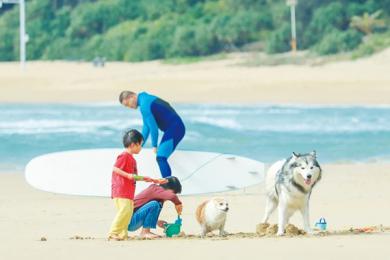 想去海南旅游在哪報(bào)團(tuán)？